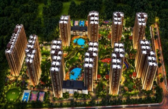 Kalyani_Living_Tree_In_Bengalore