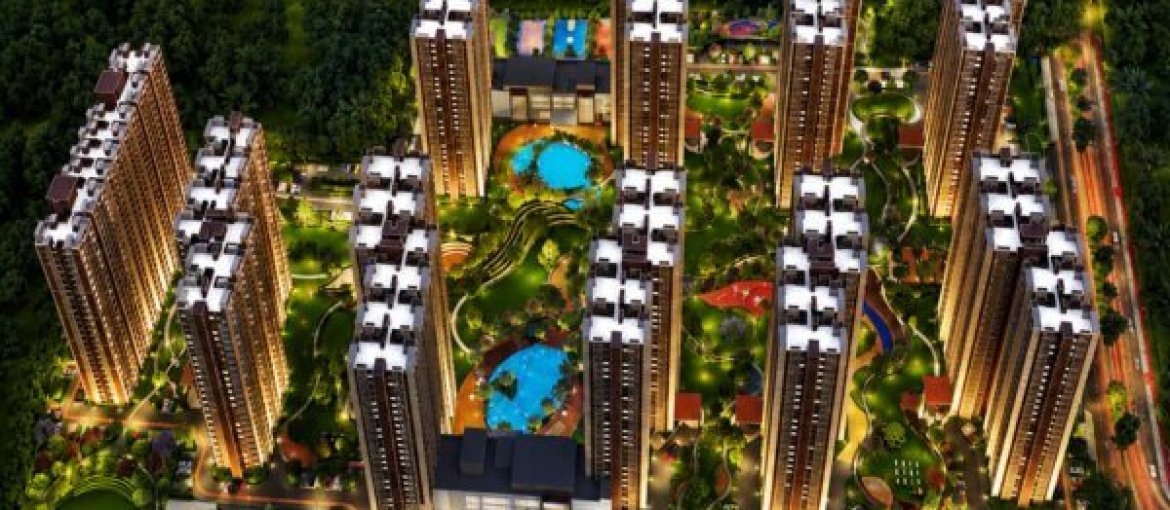 Kalyani_Living_Tree_In_Bengalore
